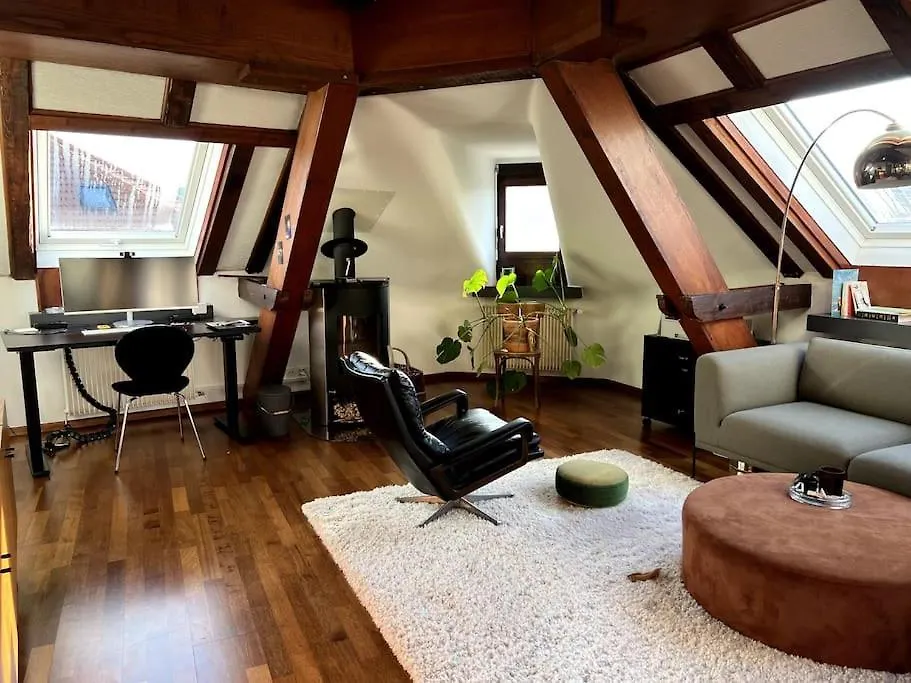 Penthouse In Basel Center With Free Baselcard Apartman