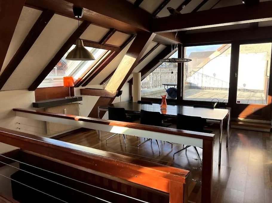 Penthouse In Basel Center With Free Baselcard Apartman
