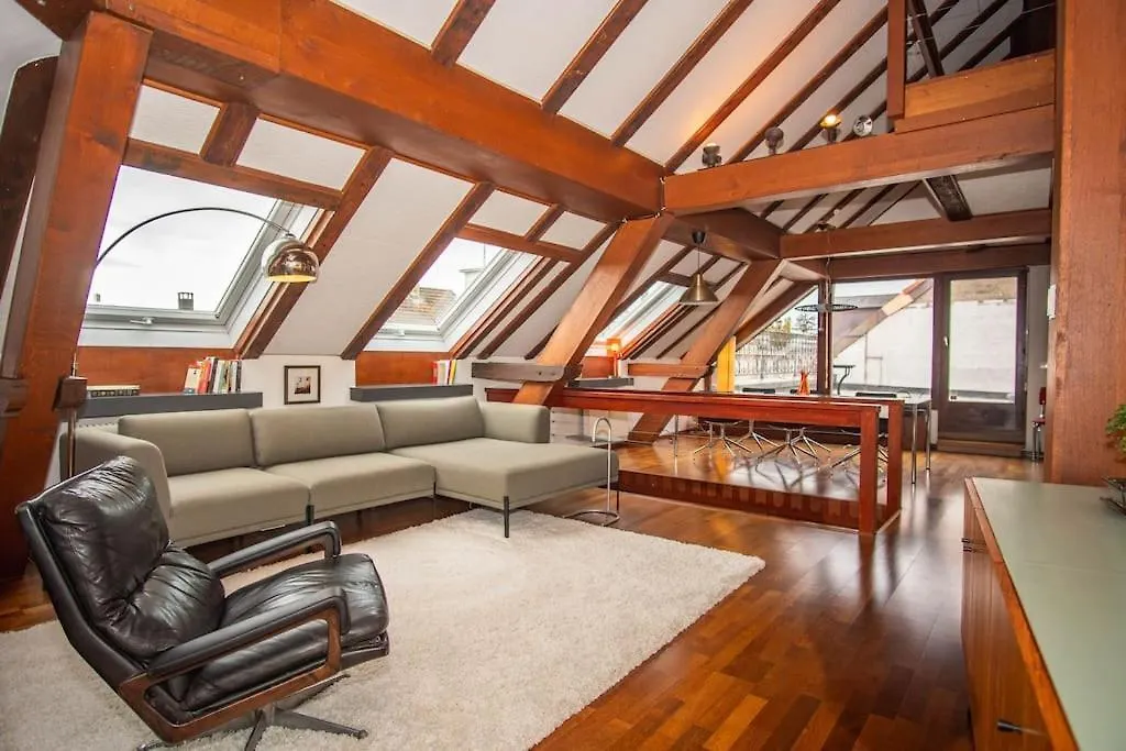 Penthouse In Basel Center With Free Baselcard Apartman